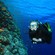 Woman in a wet suit and scuba gear floats along a coral reef populated by schools of small fish